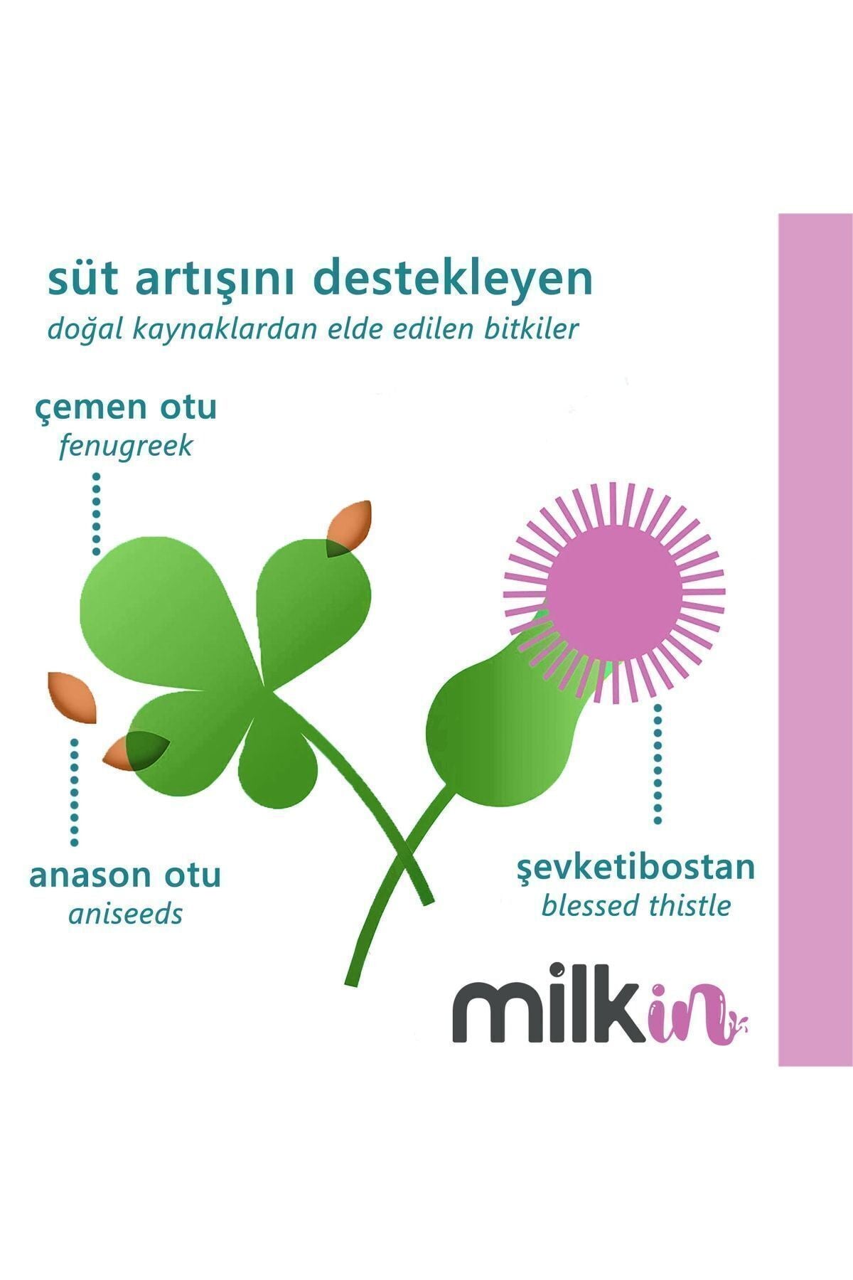 milkin Bitkisel Kapsül - Anne Sütü Arttırıcı Gıda Takviyesi