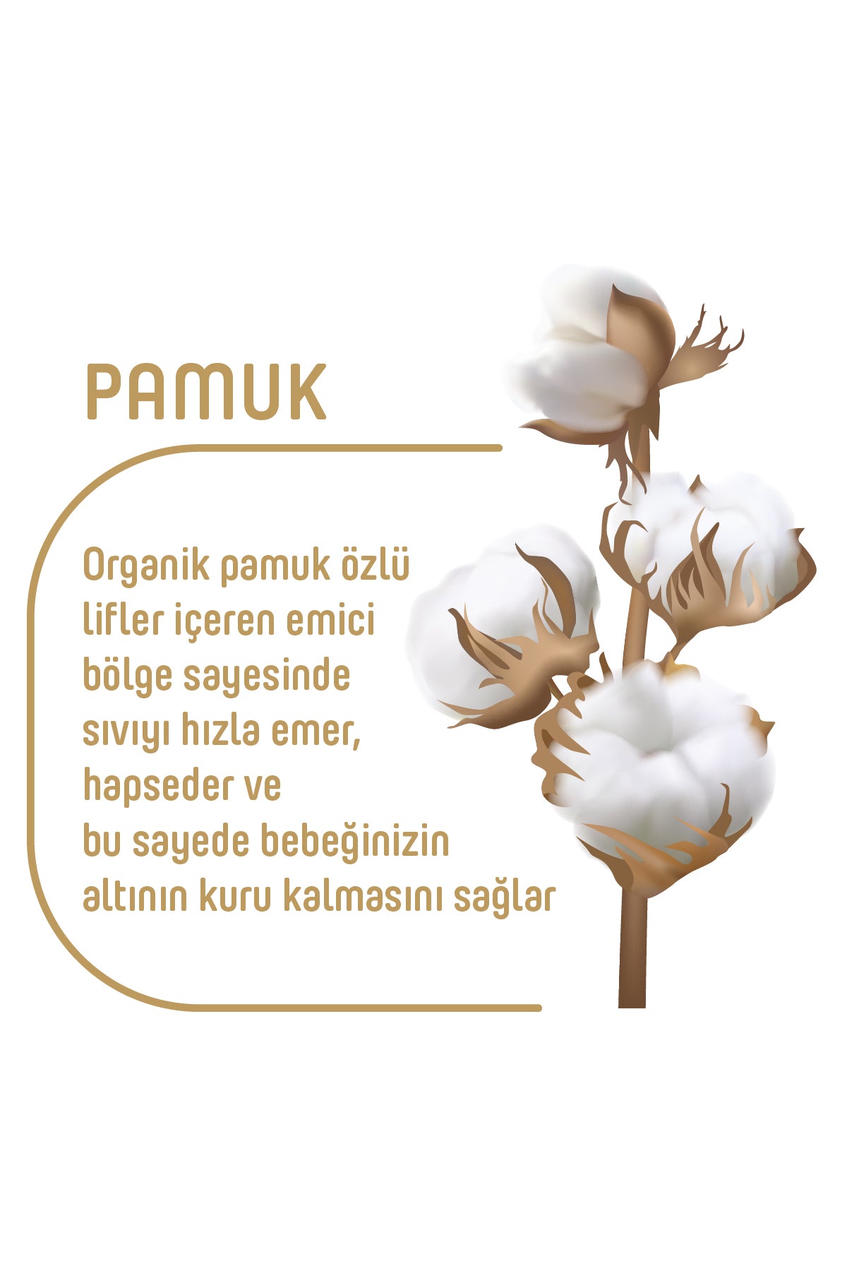 Pure Baby Organik Pamuklu Cırtlı Bez 6 Numara Xlarge 60 Adet + Organik Pamuklu Islak Havlu 90 Yaprak