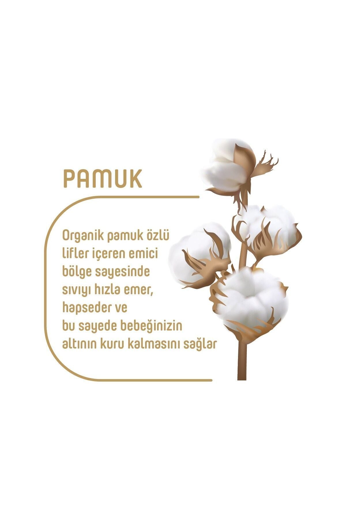 Pure Baby Organik Pamuklu 4 Numara Maxi 208'li Bebek Bezi