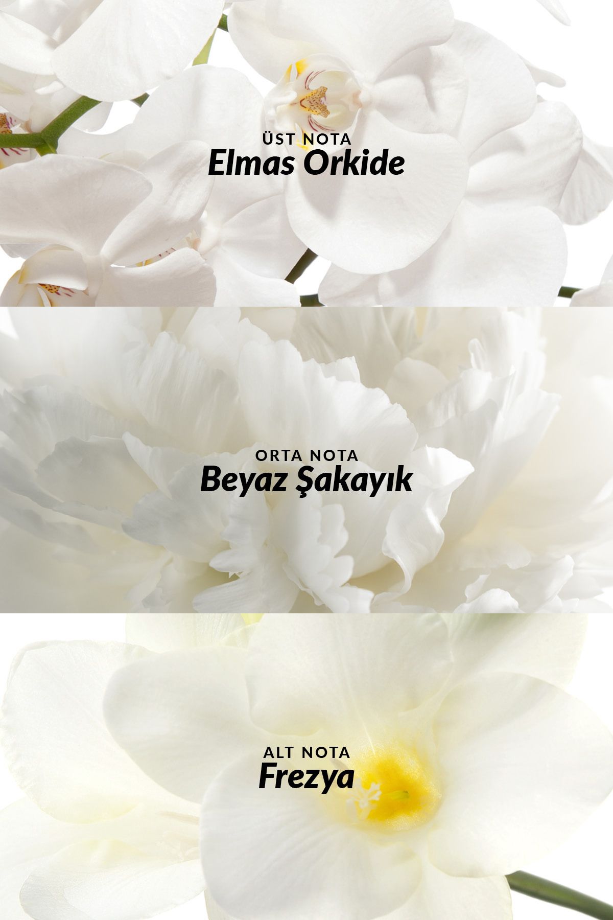 Avon Incandessence Kadın Parfüm Edp Ml.