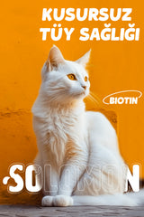 Solomon Kediler Için Tüy Sağlığını Destekleyici Multivitamin