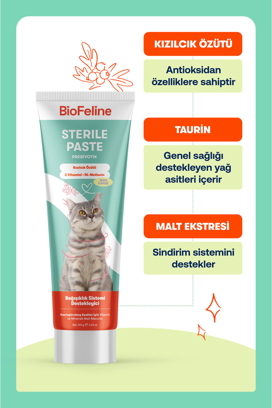 BioFeline Tüy Dökülmesi, Tüy Yumağı ve Kusma Engelleyici Multivitaminli Kısır Kedi Maltı 100g