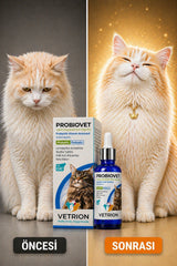 Vetrion Pharma Hızlı etkili Kedi Probiyotik 50 ml | Tüy Sağlığı | Sindirim ve Bağırsak Desteği | Probiovet Vetrion