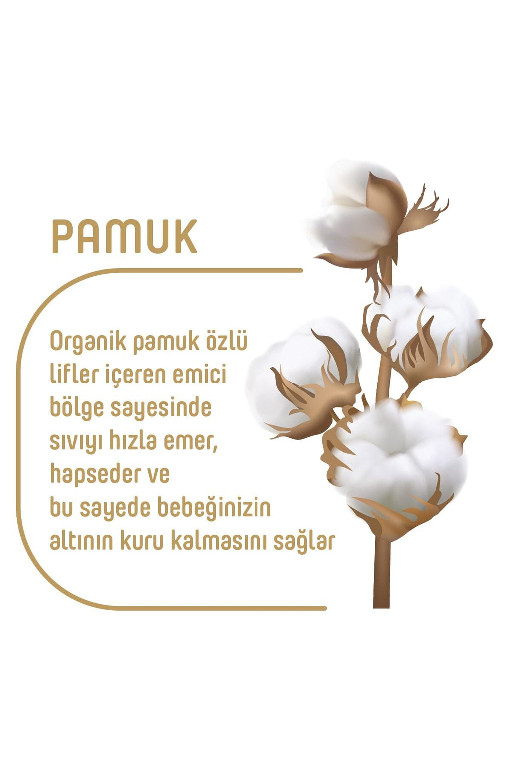 Pure Baby Organik Pamuklu Cırtlı Bez 2'li Paket 3 Numara Midi 112 Adet