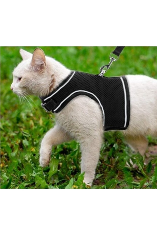 Minikpatilerpet Kaçış Önleyici Nefes Alan Kumaş Kedi Köpek Göğüs Tasması Seti Siyah