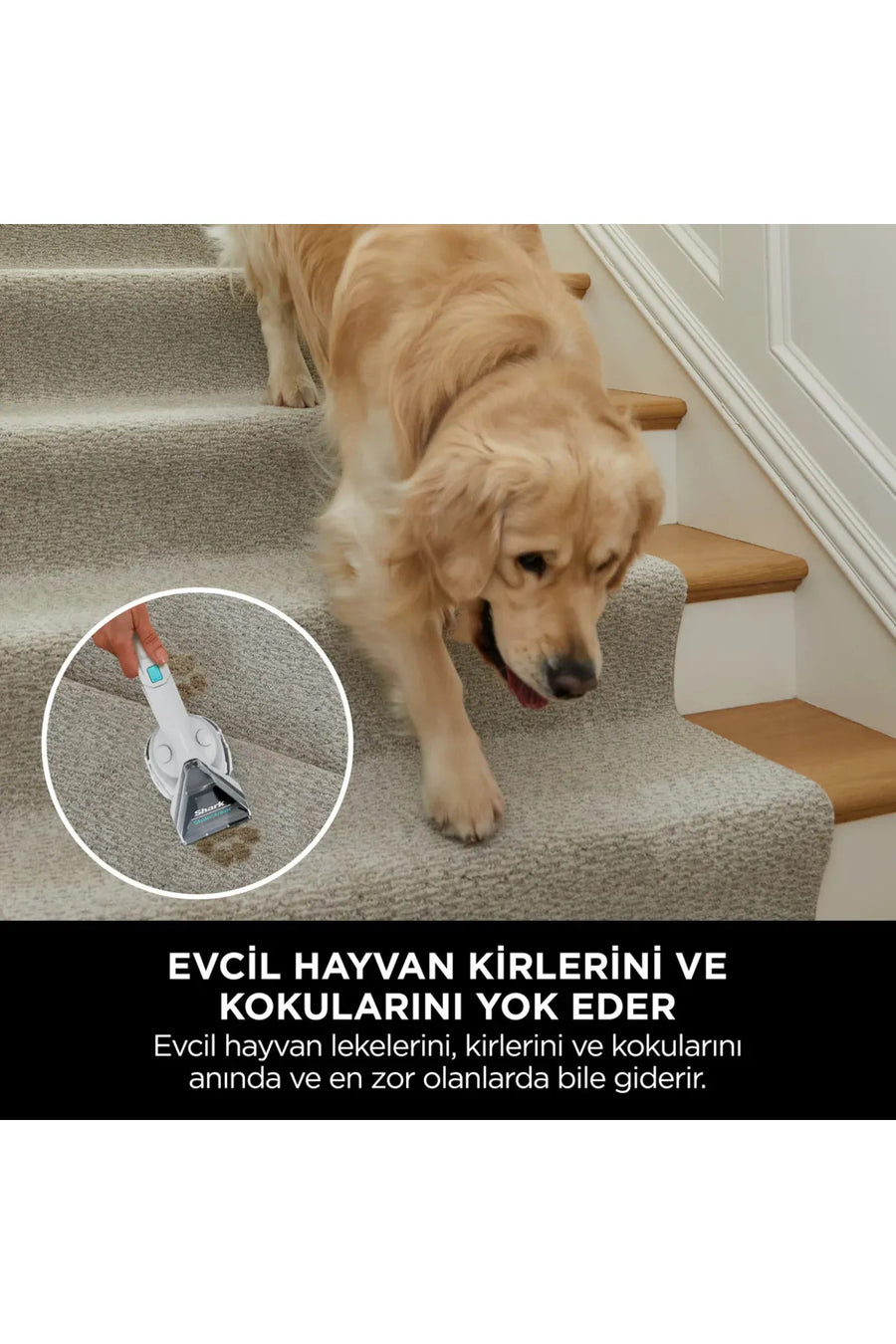 Shark Stainstriker Taşınabilir Halı ve Koltuk Temizleme Makinesi