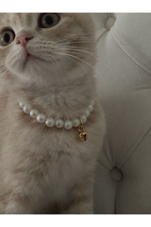Genel Markalar Palo Santo İncili Kedi Tasması