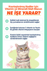 BioFeline Tüy Dökülmesi, Tüy Yumağı ve Kusma Engelleyici Multivitaminli Kısır Kedi Maltı 100g