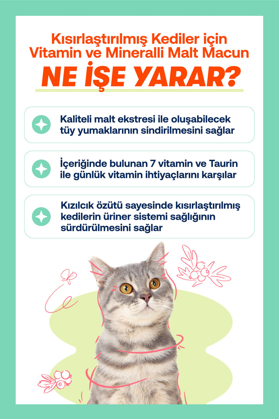 BioFeline Tüy Dökülmesi, Tüy Yumağı ve Kusma Engelleyici Multivitaminli Kısır Kedi Maltı 100g