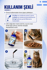 Vetrion Pharma Hızlı etkili Kedi Probiyotik 50 ml | Tüy Sağlığı | Sindirim ve Bağırsak Desteği | Probiovet Vetrion