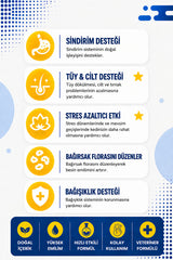 Vetrion Pharma Hızlı etkili Kedi Probiyotik 50 ml | Tüy Sağlığı | Sindirim ve Bağırsak Desteği | Probiovet Vetrion