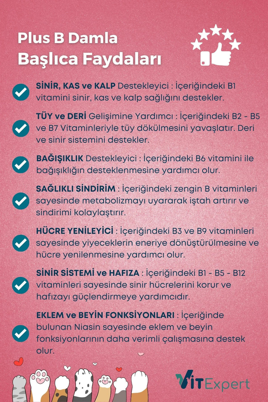Vitexpert Hızlı Etkili Tüy Dökülmesi Önleyici Tüm Kediler İçin Plus B Biyotin Multivitamin Damlası 50 ml