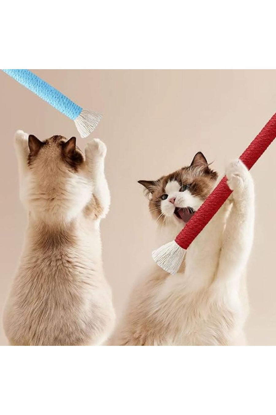 bite pet KEDİ CATNIPLİ KEMİRME HALATI DİŞ KAŞIYICI ZİLLİ