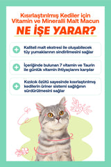 BioFeline Tüy Dökülmesi, Tüy Yumağı ve Kusma Engelleyici Multivitaminli Kısır Kedi Maltı 100g