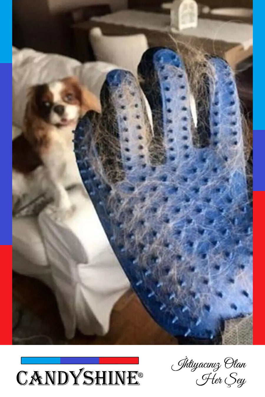 CandyShine Kedi Köpek Tüy Toplayıcı Masaj Yapıcı Tarama Eldiveni Evcil Hayvan Tüy Toplama Tarak Eldiven