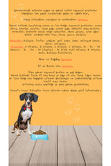 bona pets Bona’Pets Premium Düşük Tahıllı Somonlu ve Ton Balıklı Yetişkin Köpek Maması 12 Kg