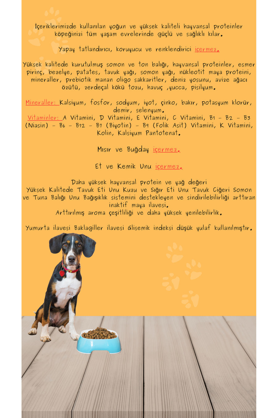 bona pets Bona’Pets Premium Düşük Tahıllı Somonlu ve Ton Balıklı Yetişkin Köpek Maması 12 Kg