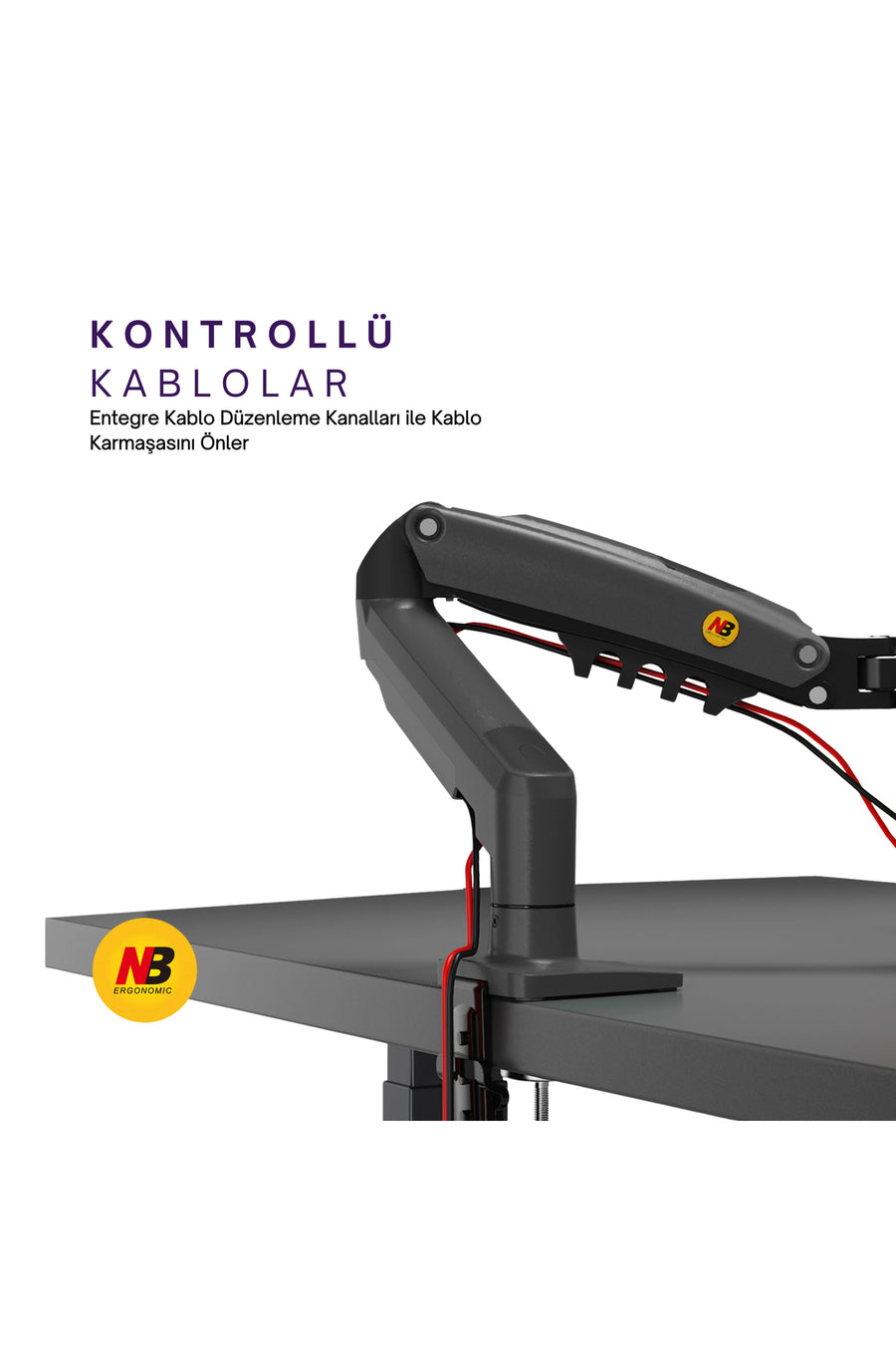 DailyTech North Bayou Nb F80 Tek Kol Amortisörlü Monitör Tutucu